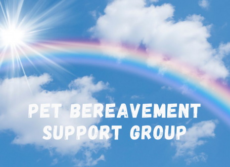 Pet Bereavement Group